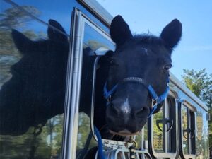 Hoofin’ It For Mounted Eagles Fundraiser Trail Ride - Spring 2025