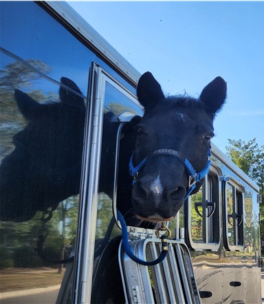 Hoofin’ It For Mounted Eagles Fundraiser Trail Ride - Spring 2025